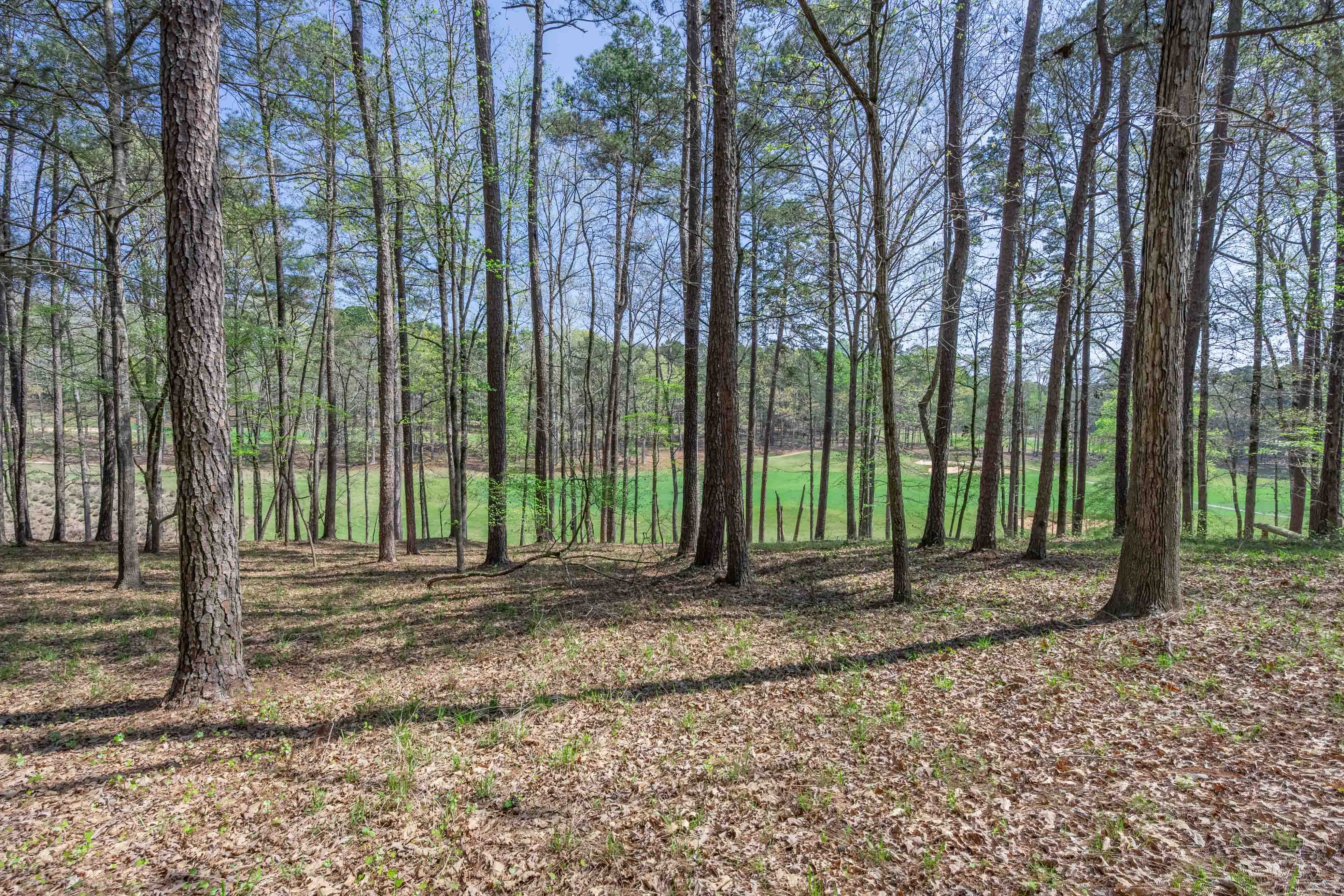 1190 Callahan's Ridge Road image 10